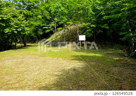 丹沢の火燃峠　三国林道 126549528