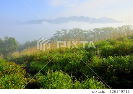 丹沢の鉄砲木ノ頭(明神山) 霧晴に映る道志山塊の山並 丹沢の鉄砲木ノ頭(明神山) 霧晴に映る道志山塊の山並 126549718