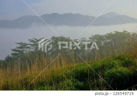 丹沢の鉄砲木ノ頭（明神山）　霧晴に映る道志山塊の山並 126549719