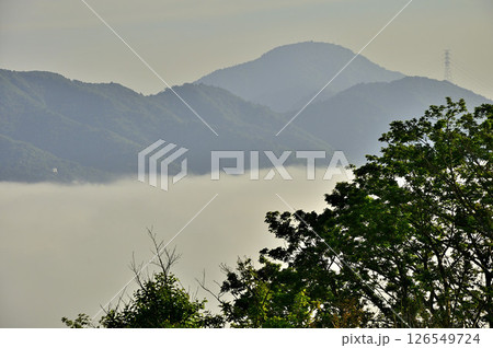 丹沢の鉄砲木ノ頭（明神山）より　雲海に浮かぶ道志山塊の御正体山 126549724