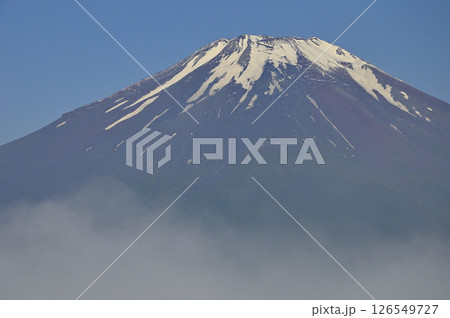 丹沢の鉄砲木ノ頭（明神山）より　晴れ行く朝霧に現れる夏富士 126549727