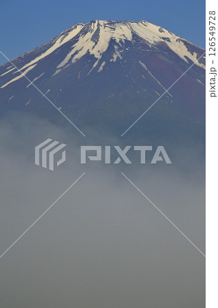 丹沢の鉄砲木ノ頭（明神山）より　晴れ行く朝霧に現れる夏富士 126549728