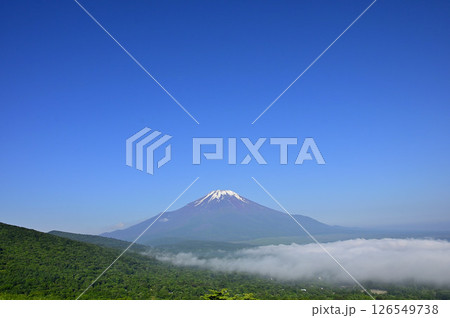 丹沢の鉄砲木ノ頭（明神山）より　夏の富士山　コピースペース 126549738