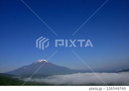 丹沢の鉄砲木ノ頭（明神山）より　夏の富士山　コピースペース 126549740