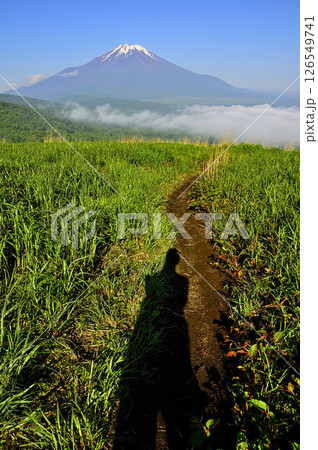 丹沢の鉄砲木ノ頭（明神山）より　夏草生い茂る山道と富士山 126549741