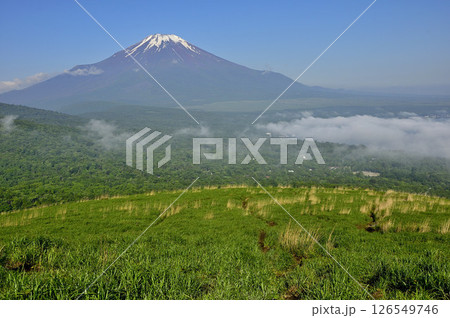 丹沢の鉄砲木ノ頭(明神山)より 初夏の富士山を眺める 丹沢の鉄砲木ノ頭(明神山)より 初夏の富士山を眺める 126549746