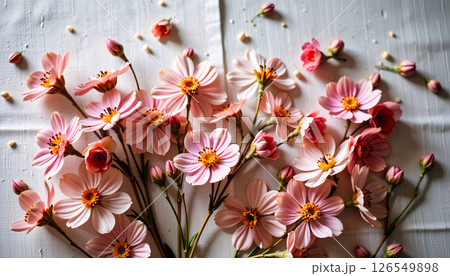 creative flat lay of waxflower on a linen background, with blush pink hues, diffused window glow 126549898