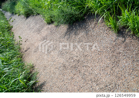 両脇を雑草に覆われた歩道 126549959