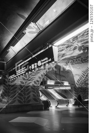 【スウェーデン】ストックホルム　 T-セントラーレン駅　メトロアート　モノクロ 126550107