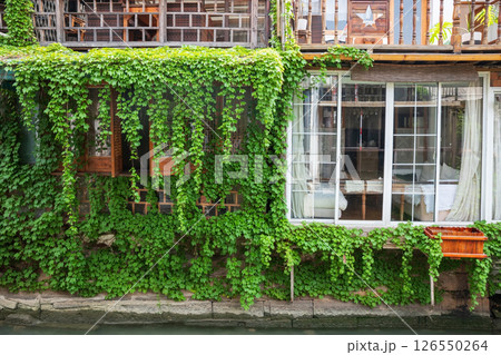 Ivy climber plant on cafe or restaurant at Zhujiajiao town Ivy climber plant on cafe or restaurant at Zhujiajiao town 126550264