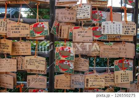 Votives Ema prayer wood tablets at Zenkyoan boar temple, Kyoto Votives Ema prayer wood tablets at Zenkyoan boar temple, Kyoto 126550275