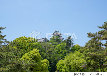 高知城天守(土佐24万石の名城) 高知城天守(土佐24万石の名城) 126550375
