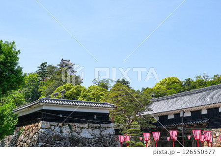 高知城天守(土佐24万石の名城) 高知城天守(土佐24万石の名城) 126550377