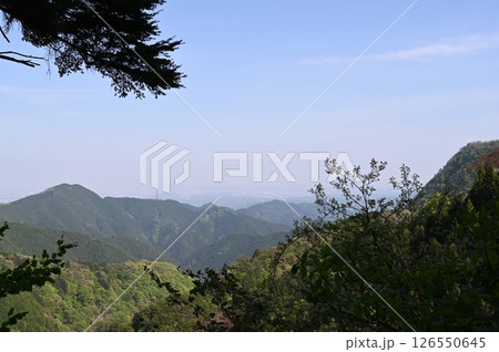 大岳山登山道 大岳山登山道 126550645