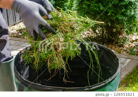 Individual in gloves gathers green waste into bag while working in outdoor garden. High quality photo Individual in gloves gathers green waste into bag while working in outdoor garden. High quality photo 126551021