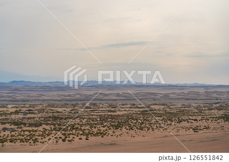 陽関の周辺 126551842