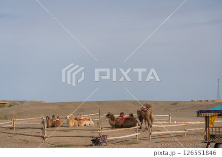 陽関の周辺 126551846