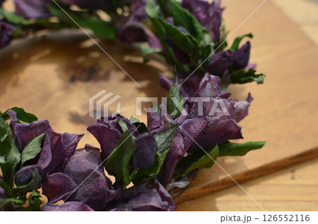 クリスマスローズのドライフラワーのリース クリスマスローズのドライフラワーのリース 126552116