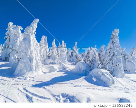 乗車中のリフトから見る樹氷原と周辺に残る滑走跡 (山形県、蔵王温泉スキー場、ユートピアゲレンデ) 126552245