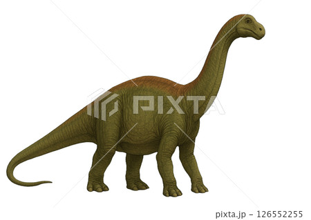 ブラキオサウルス 126552255