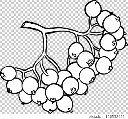 rowan branch isolated rowan branch isolated 126552423