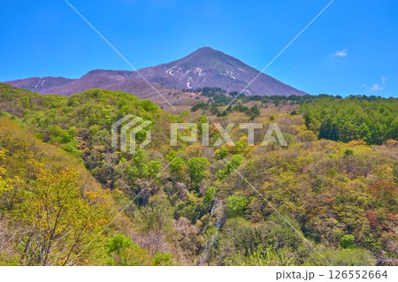 新緑の福島県磐梯町の磐梯山ゴールドライン(滑滝展望台)から東側の眺望(磐梯山西面,滑滝,新緑など) 新緑の福島県磐梯町の磐梯山ゴールドライン(滑滝展望台)から東側の眺望(磐梯山西面,滑滝,新緑など) 126552664