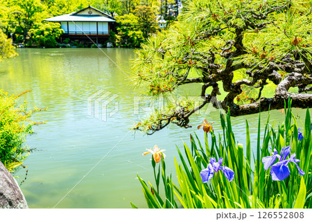 初夏の相楽園の風景 池越しに見る茶室・浣心亭1 兵庫県神戸市中央区 初夏の相楽園の風景 池越しに見る茶室・浣心亭1 兵庫県神戸市中央区 126552808