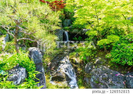 初夏の相楽園の風景　園内の小さな滝1　兵庫県神戸市中央区 126552815