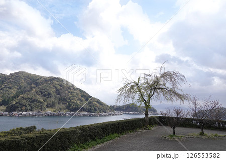 京都府伊根町 海岸線に続く舟屋群と山並み(道の駅からの眺め) 京都府伊根町 海岸線に続く舟屋群と山並み(道の駅からの眺め) 126553582