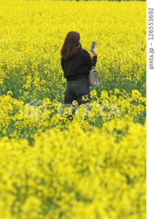 満開の菜の花畑　安平町菜の花さんぽ　菜の花圃場　道の駅あびらD51ステーション 126553692