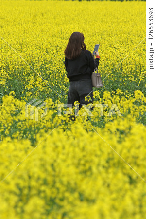 満開の菜の花畑　安平町菜の花さんぽ　菜の花圃場　道の駅あびらD51ステーション 126553693