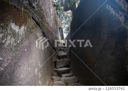 筑波山 高天原・稲村神社（茨城県つくば市） 126553742