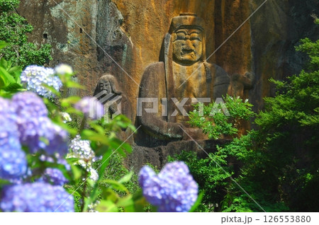 満開の紫陽花と普光寺磨崖仏（豊後大野市） 126553880