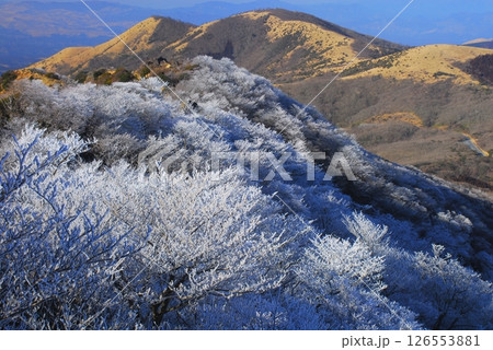 霧氷の沓掛山（くじゅう連山） 126553881