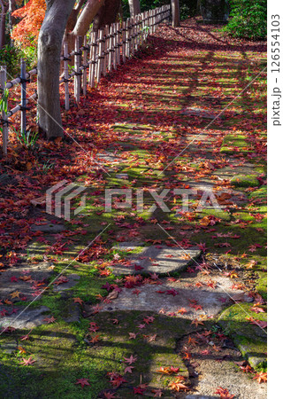 石畳みを飾る落ち葉 126554103