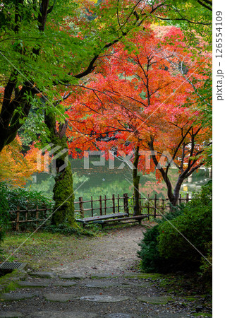 秋の高岡古城公園 126554109