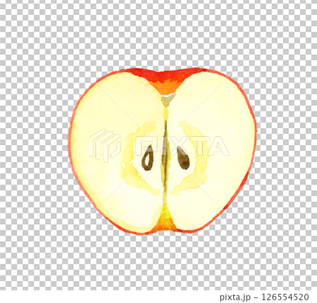 Apple cut in half - Hand-drawn watercolor illustration of fruit Apple cut in half - Hand-drawn watercolor illustration of fruit 126554520