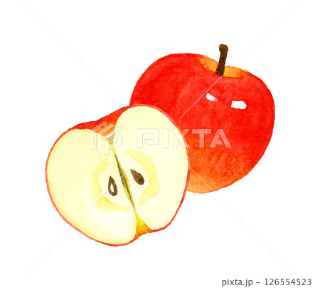 半分にカットしたりんご フルーツの手描き水彩イラスト素材 半分にカットしたりんご フルーツの手描き水彩イラスト素材 126554523