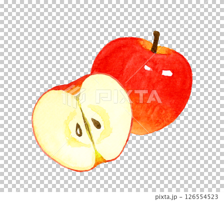 半分にカットしたりんご フルーツの手描き水彩イラスト素材 半分にカットしたりんご フルーツの手描き水彩イラスト素材 126554523
