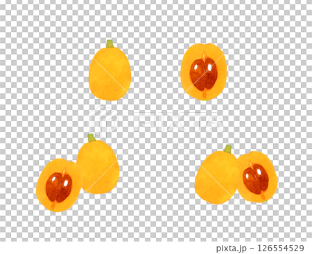 枇杷套裝-水果手繪水彩插圖集 枇杷套裝-水果手繪水彩插圖集 126554529