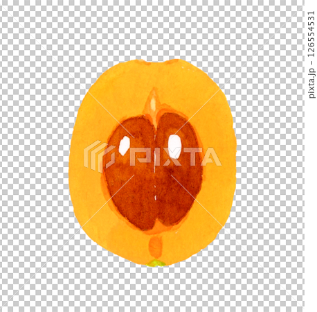 半分にカットしたびわ　フルーツの手描き水彩イラスト素材 126554531