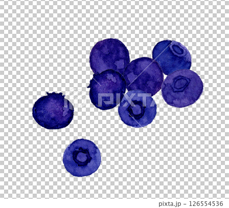 簡單的藍莓果實手繪水彩插畫素材 126554536