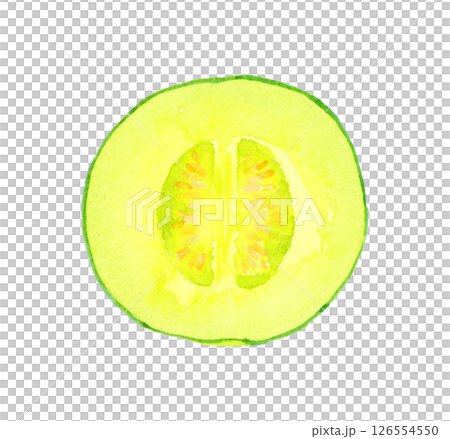 切成兩半的甜瓜手繪水果和蔬菜的水彩插圖 126554550