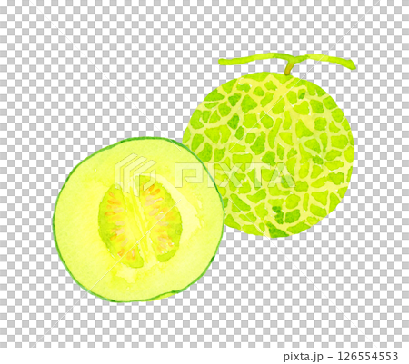 半分にカットしたメロン　フルーツ・野菜の手描き水彩イラスト素材 126554553