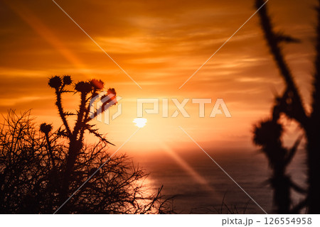 Sunset or sunrise over sea surface Sunset or sunrise over sea surface 126554958
