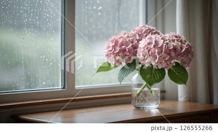 雨に濡れる窓辺と淡いピンクの紫陽花 126555266