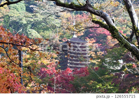 談山神社の紅葉 126555715