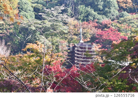 談山神社の紅葉 126555716