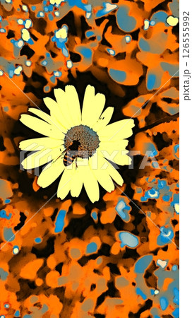 A bee sucks pollen from a bloomed daisy. 126555992