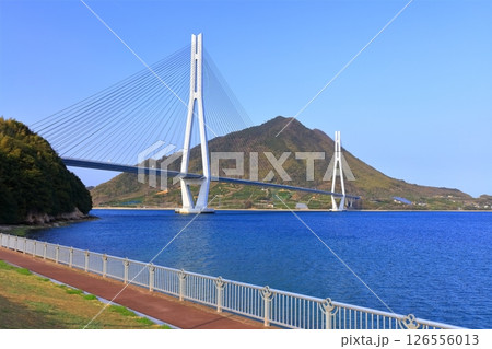 【広島県】春の道の駅多々羅しまなみ公園から見た（多々羅大橋） 126556013